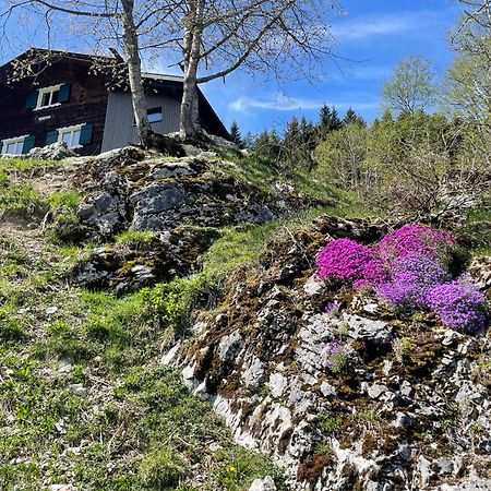 Alpenchalet Piz Huesli Tschagguns Εξωτερικό φωτογραφία