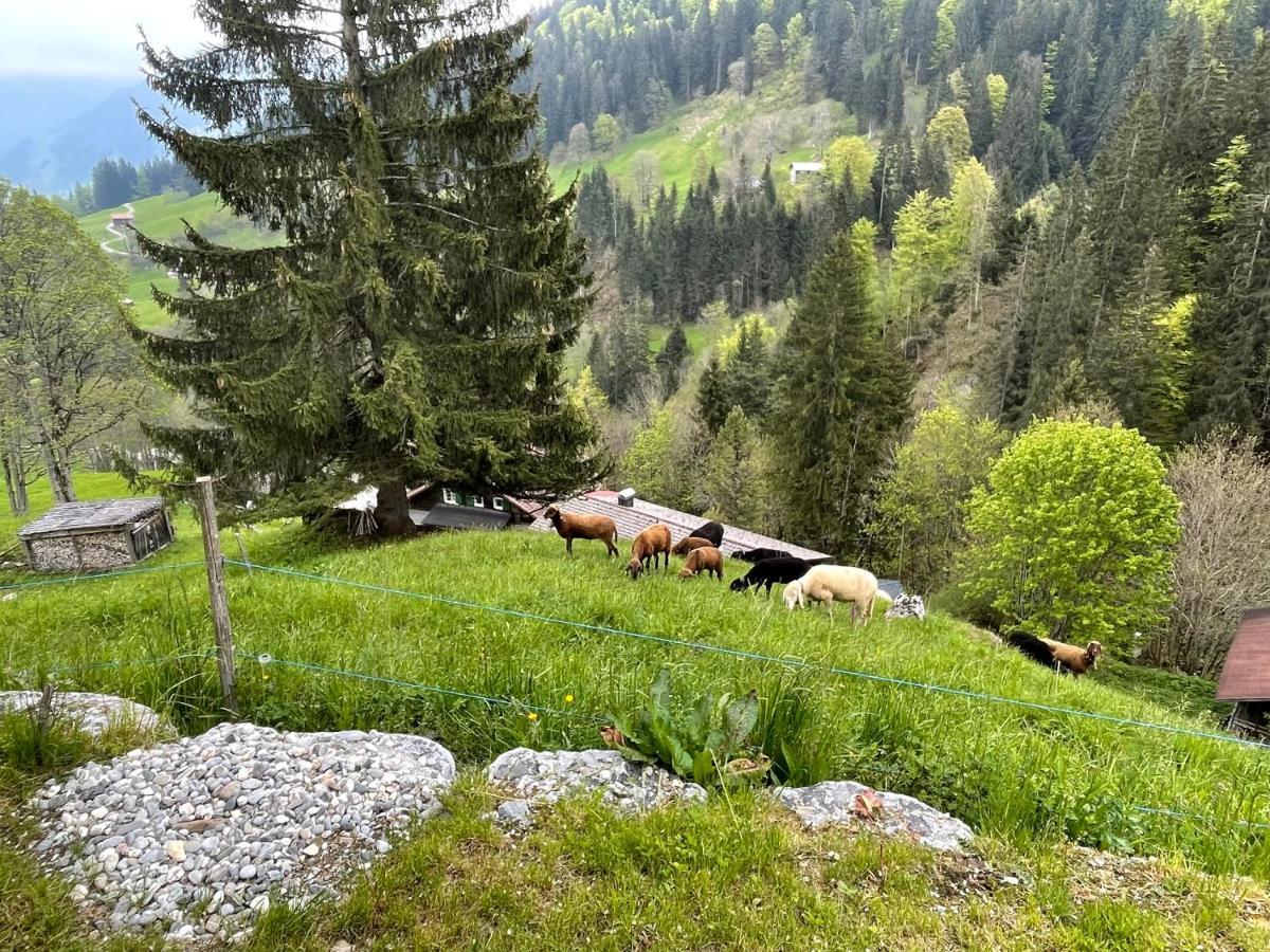 Alpenchalet Piz Huesli Tschagguns Εξωτερικό φωτογραφία