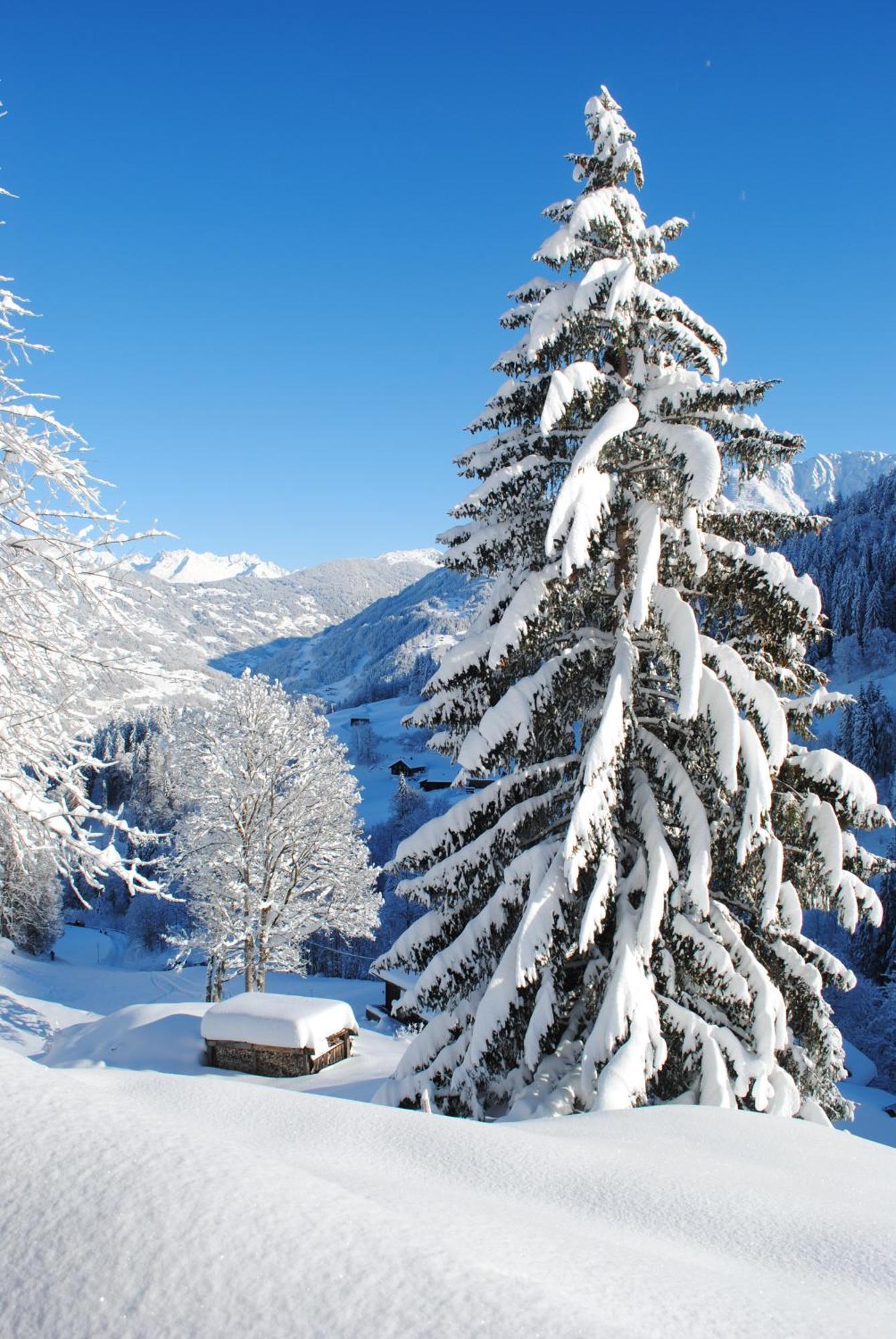 Alpenchalet Piz Huesli Tschagguns Εξωτερικό φωτογραφία