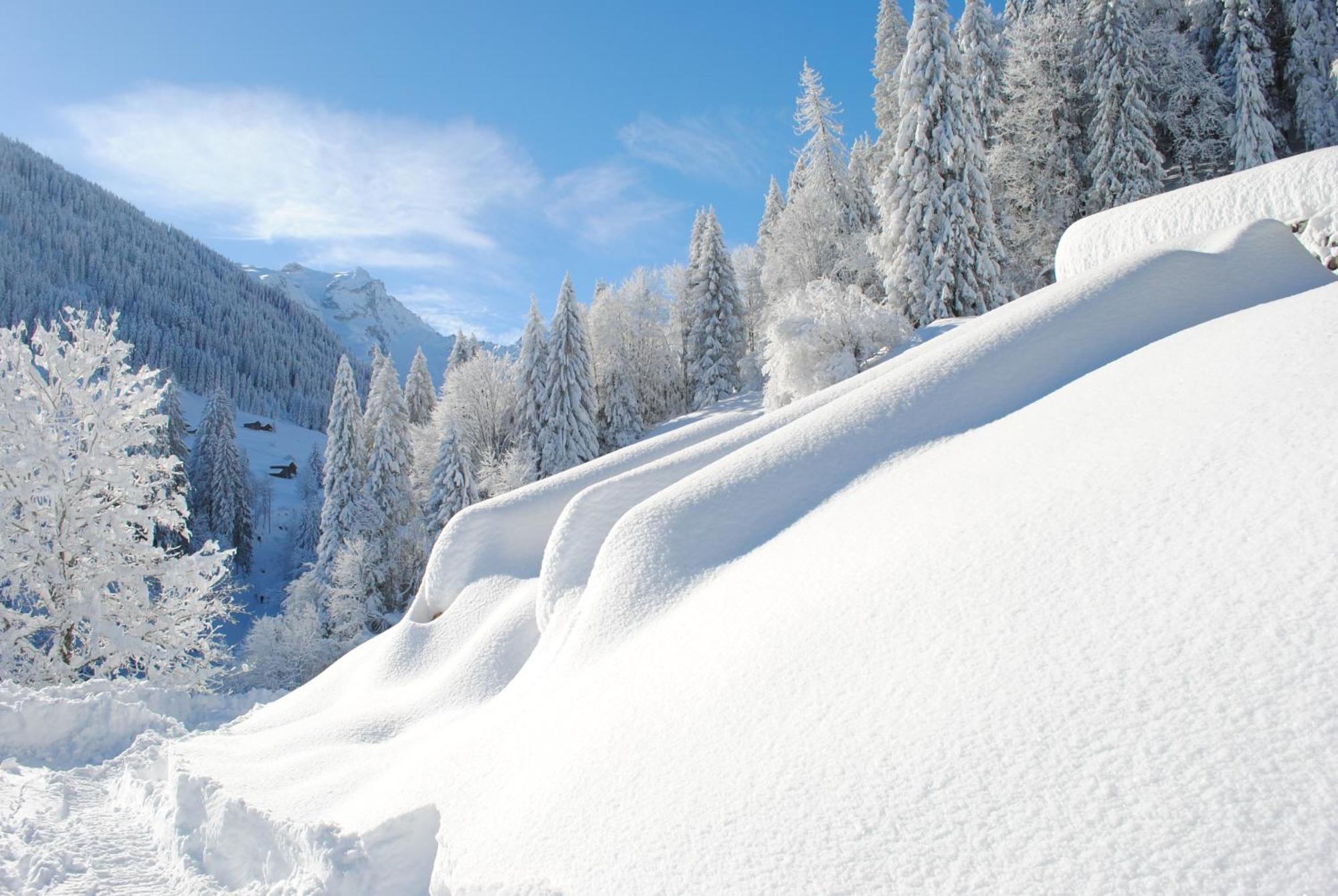 Alpenchalet Piz Huesli Tschagguns Εξωτερικό φωτογραφία