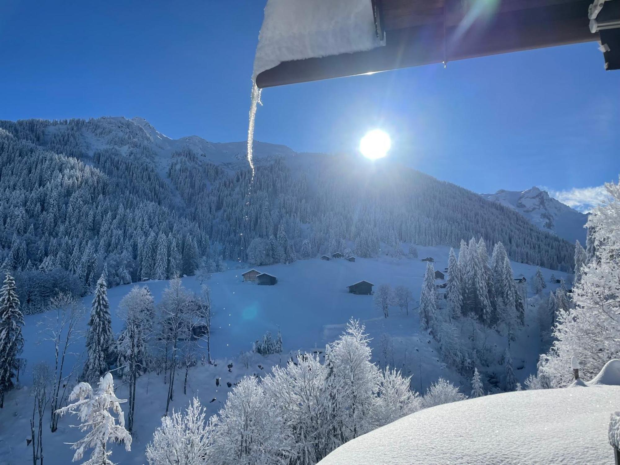 Alpenchalet Piz Huesli Tschagguns Εξωτερικό φωτογραφία