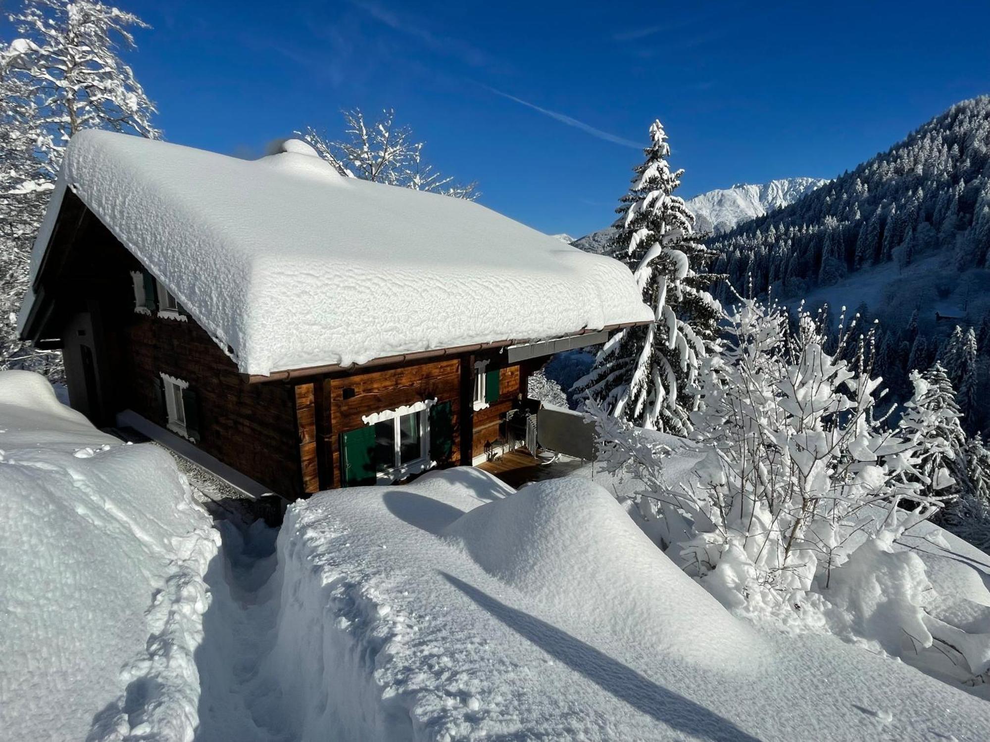 Alpenchalet Piz Huesli Tschagguns Εξωτερικό φωτογραφία