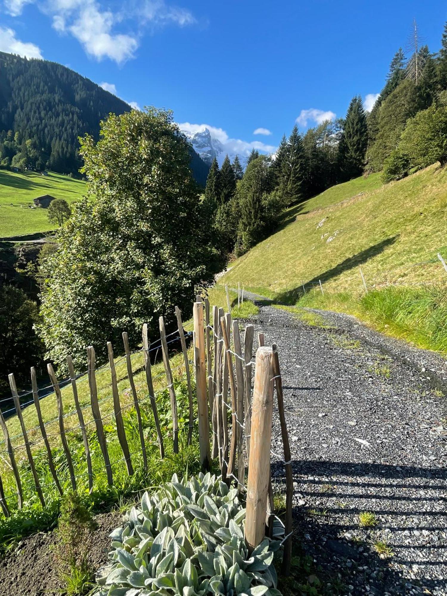 Alpenchalet Piz Huesli Tschagguns Εξωτερικό φωτογραφία