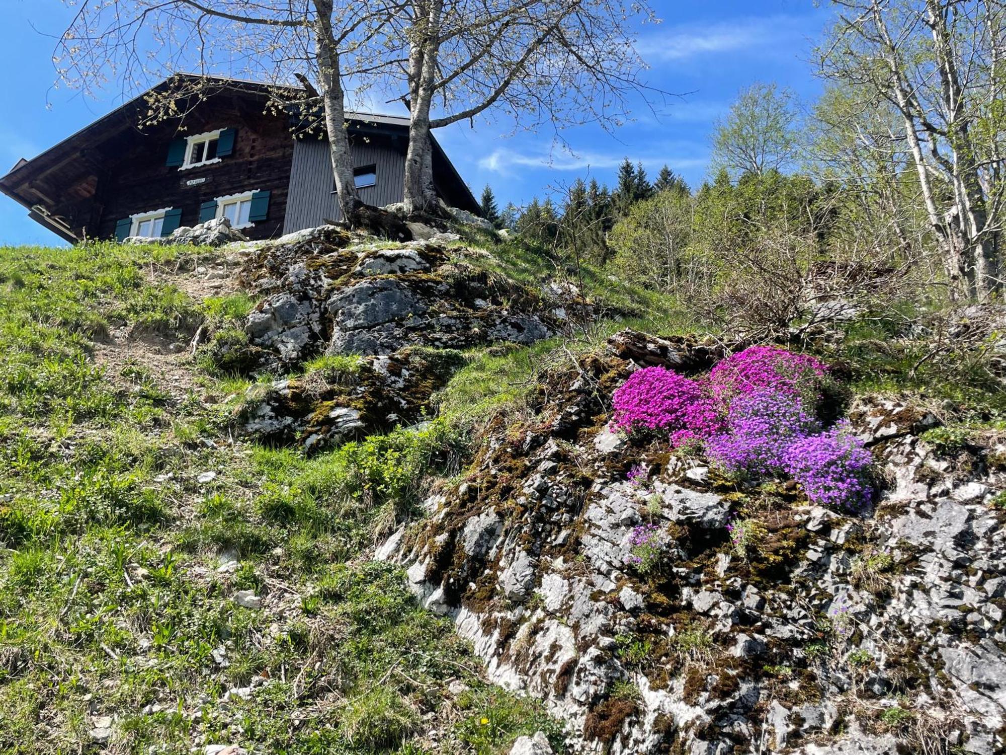 Alpenchalet Piz Huesli Tschagguns Εξωτερικό φωτογραφία